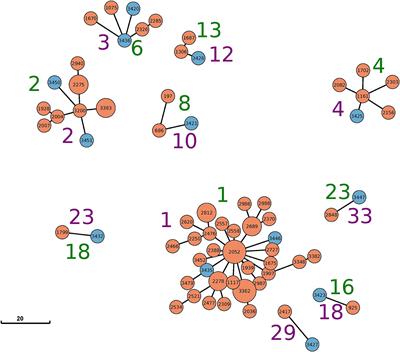 Clonal relation between Salmonella enterica subspecies enterica serovar Dublin strains of bovine and food origin in Germany